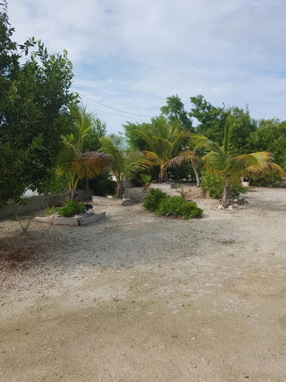 Ferienwohnung Trellis House Caye Caulker Exterior foto